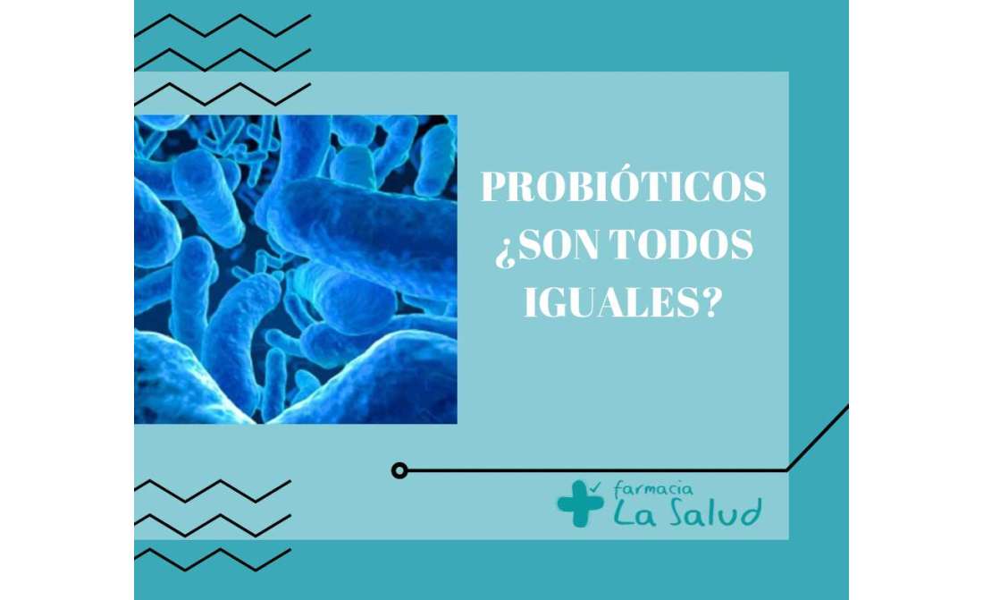 PROBIÓTICOS,  ¿SON TODOS IGUALES?
